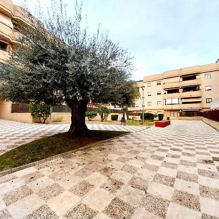 Top Suite Apartment Jerez Jardin Y Patio Jerez de la Frontera Eksteriør billede